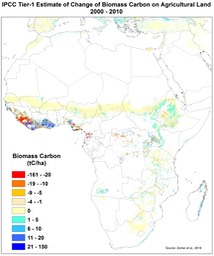 Carbon_Diff_Africa
