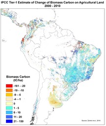 Carbon_Diff_South_America
