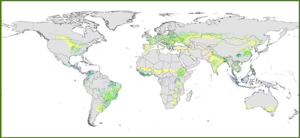 Global Biomass C on Ag Land - Figures v3a copy