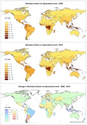 Global_Biomass_Carbon_National